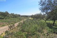 Santa Ollala Del Cala: Beautiful Farm Near Sevilla, Huelva